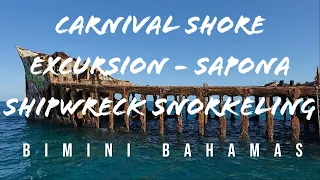 Carnival Cruises - SS Sapona Shipwreck Snorkeling Shore Excursion Adventure in Bimini Bahamas
