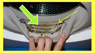 How to Clean your WASHING MACHINE!! (Remove Front Load Stink NATURALLY) | Andrea Jean