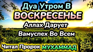 Дуа утром в воскресенье на Удачу. Читал Пророк МУХАММАДﷺ, ИНШААЛЛАХ АЛЛАХ ПОМОЖЕТ В ДЕЛАХ !!!