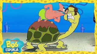 ¡¿La casa de Patricio es un caparazón de tortuga?! | Bob Esponja en Español