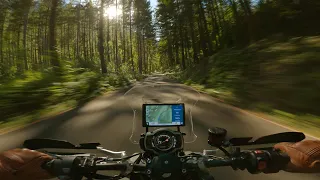 Moody POV Forest Backroad Cruise // Triumph Scrambler 1200 XC [4K]