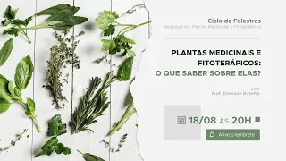 Plantas Medicinais e Fitoterápicos: O que saber sobre elas?