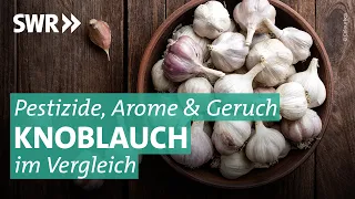 Knoblauch im Test: Wie gesund ist die Knolle wirklich? | Marktcheck SWR