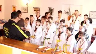Taekwondo Botosani