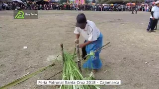 Extrayendo la cabuya de la penca para hacer sogas