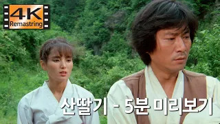 [ 4K리마스터링 ] 산딸기 (1982) - 김수형감독, 안소영, 남궁원, 임동진, 김인문, 진유영