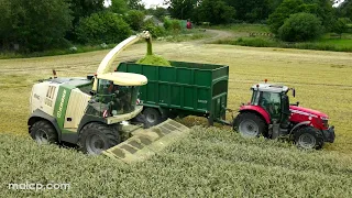 4k Harvest 2023: L W Hall's Krone Big X 770 forager whole cropping rye near Beccles, Suffolk