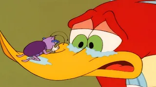 Woody Woodpecker Show | Brother Cockroach | Full Episode | Videos For Kids