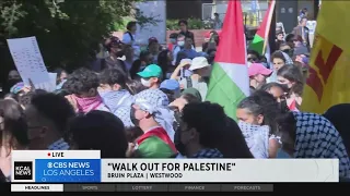 Large crowd gathers for "Walk Out For Palestine" rally in Westwood