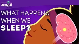 What Happens When We Sleep? | 5 Different Sleep Cycles | ZzzQuil