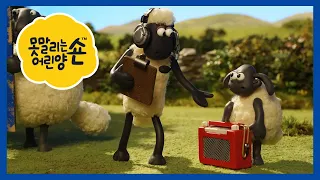 새 TV / 주인아저씨 목욕 대작전 - 숀 더쉽 [Shaun the Sheep]