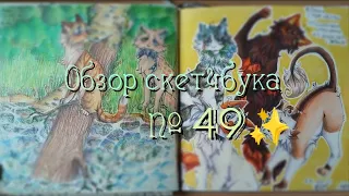 ~Обзор скетчбука №49/Коты-воители/заказы/мои персонажи✨