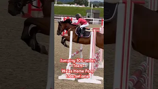 Jumping the Teams at HPI 🏴󠁧󠁢󠁥󠁮󠁧󠁿 #horse #equestrian #showjumping #pony #horseriding #stallion