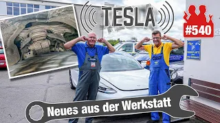 TESLA-Fehlkonstruktion?! 😡 Querlenker quietschen SKANDALÖS! 😣 Wir zeigen die Lösung!!