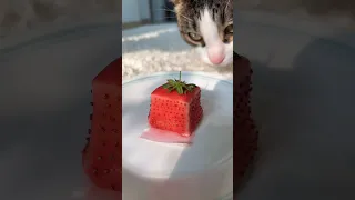 72-hour strawberry jelly 🍓