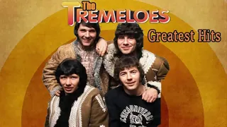 The Tremeloes Greatest Hits Best Of The Tremeloes v720P