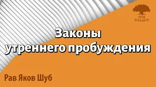 Законы утреннего пробуждения и омовения рук. Рав Яков Шуб