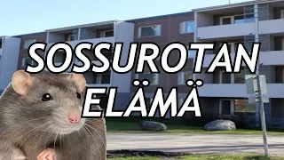 Sossurotan Elämä