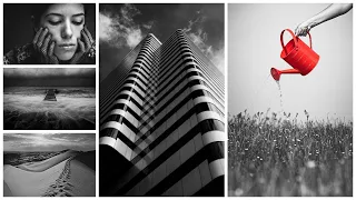 Everything You Wanted to Know About Black & White Photo Editing: Tips for Stunning Results