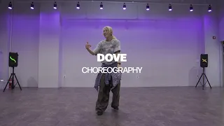 DOVE│HIPHOP Choreography "YOUNG POSSE (영파씨) - XXL"│New Flare Dance Academy│뉴플레어 댄스 학원