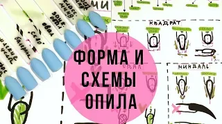 Все про ФОРМЫ НОГТЕЙ / СХЕМЫ опила разных форм / Как сделать миндаль