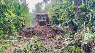 CAT D6R XL Bulldozer Operator Works Excellent in Cleaning Roads on Plantations