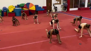 Gymcats warm up stretch - Man in the Mirror - by Michael Jackson
