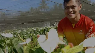 Anthurium Farm, Tupi South Cotabato