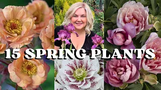 15 Perennials for Spring Blooms & Early Season Color!