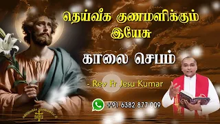 29.05.2024  - morning prayer - காலைஜெபம் - தெய்வீக குணமளிக்கும் இயேசு @TAMIL CATHOLIC ONLINE TV