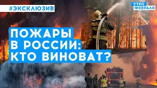 Лесные пожары в России: как спасатели и волонтеры борются с огнем