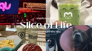 Slice of Life | snippets of April and May, kpop party, iu and suho’s ticket selling, furbabies