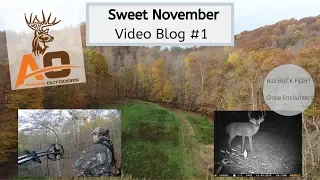 BIG BUCK FIGHT! Sweet November: Kentucky Whitetail Hunting