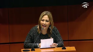 Ahora sí se preocupan por los mexicanos: Sen. Lucía Meza (Morena)