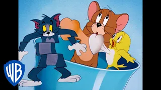 Tom & Jerry | Here Comes The Birds! | Classic Cartoon Compilation | WB Kids