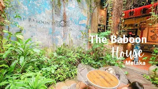 The Baboon House Hidden Jungle Like Cafe at Jonker Street Melaka