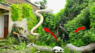 The Mystery of the Buried House - The Truth About a GIANT SNAKE, Abandoned House Restoration