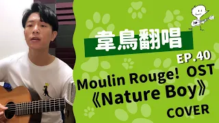 【韋禮安翻唱】Moulin Rouge! OST《Nature Boy》(WeiBird Cover)