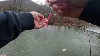 Trout fishing Paint creek.