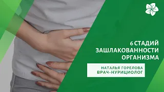 6 стадий зашлакованности организма часть 2