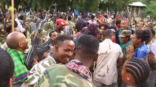 ዝገርም ምርኢት ሙዚቃ TDF ምስ ተጋዳላይ  Millaw Tesfay '"መሽረፈት"