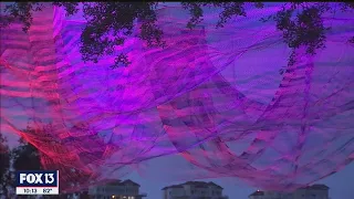 Netting becomes art at new St. Pete Pier