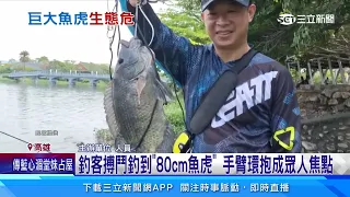 蓮池潭釣到巨大魚虎 長80cm重6.17kg釣客嗨｜三立新聞網 SETN.com