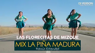 LAS FLORECITAS DE MIZQUE - MIX LA PIÑA MADURA [DJ Yerson Mendoza]