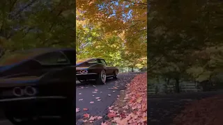 Sit back and enjoy this drive by through the fall foliage