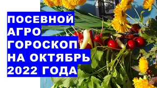 Посевной агрогороскоп на октябрь 2022 года