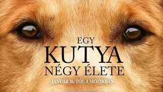 Egy kutya négy élete