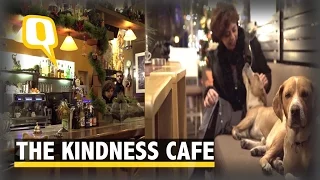 Good Karma! This Cafe Lets Stray Dogs Sleep Inside During Winters