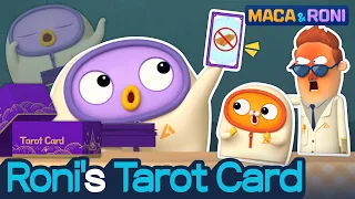 [MACA&RONI] Roni’s Tarot Card | Macaandroni Channel | Cute Animation