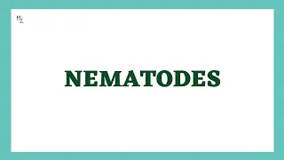 Nematodes Lecture | Roundworms or Nemathelminths | Parasitology |  Microbiology